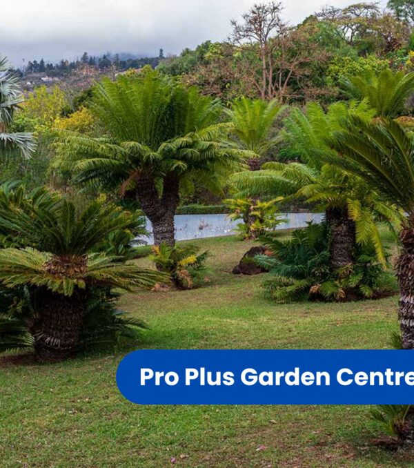 Fertilizing Program, Tree & Palm Injections (featured image)