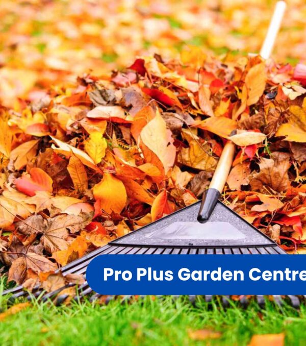 Garden Renovation & Seasonal Clean Ups (featured image)