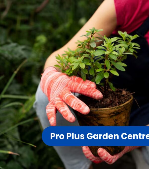 Landscape Design, Installation & Maintenance (featured image)