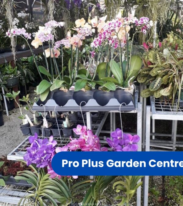 Plant Nursery & Gardening Supplies (featured image)