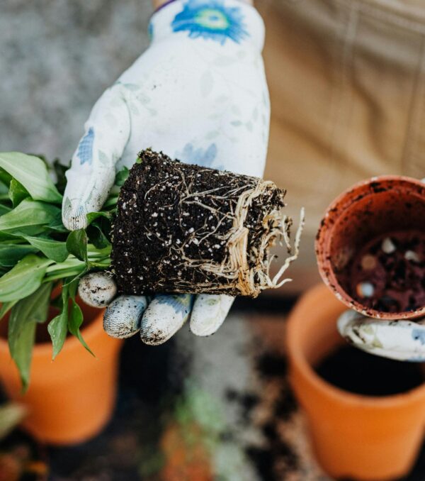 pro-plus-Irrigation Installation & Repairs featured image pro-plus-Irrigation Installation & Repairs featured image