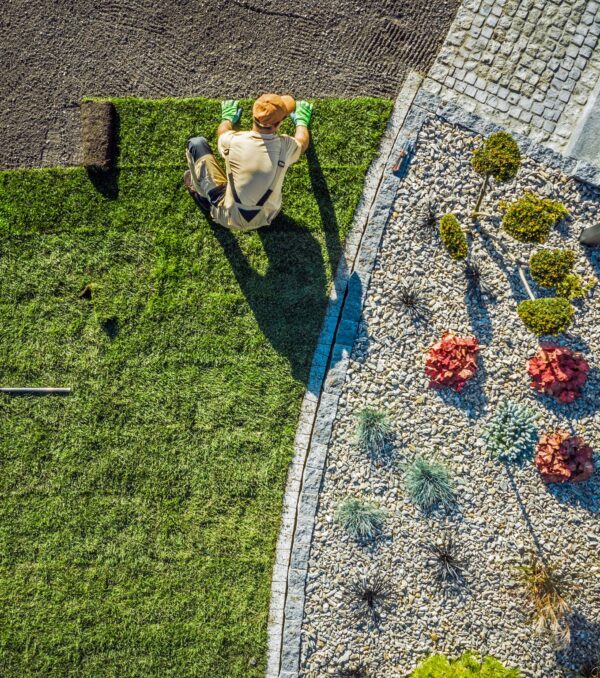 pro-plus-Turf Installationfeatured image pro-plus-Turf Installationfeatured image