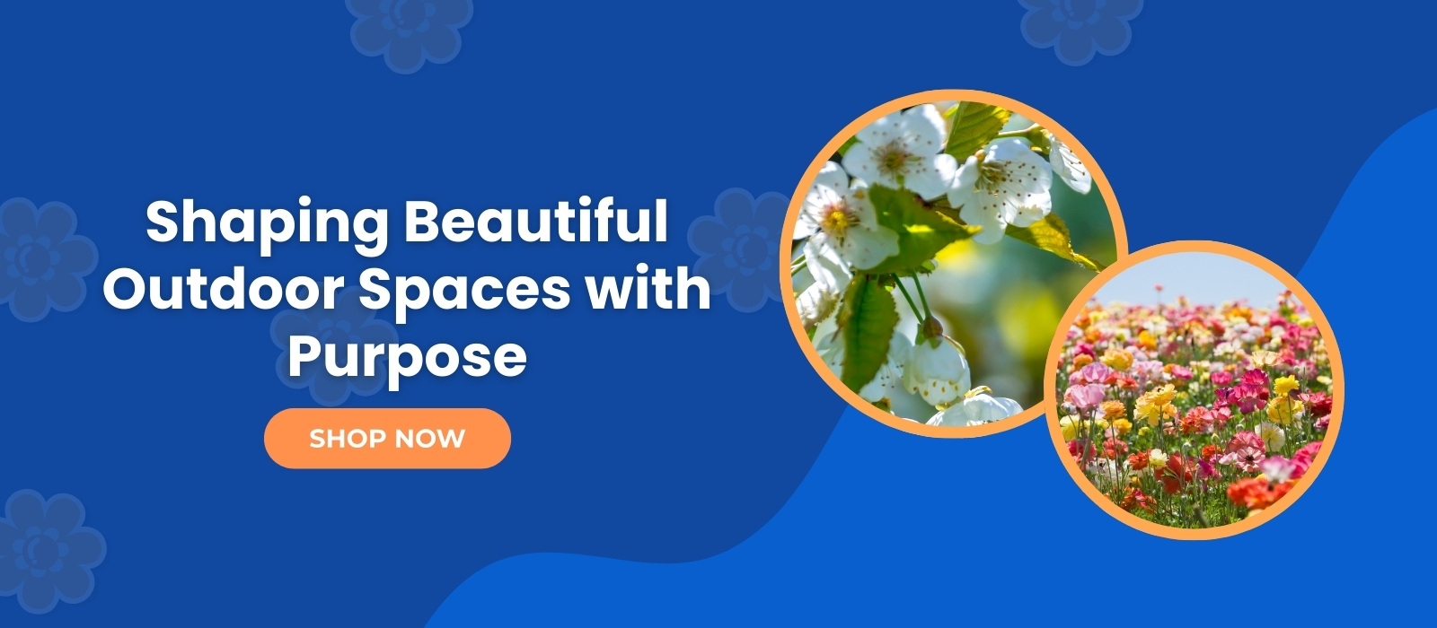 pro-plus-main-banner6